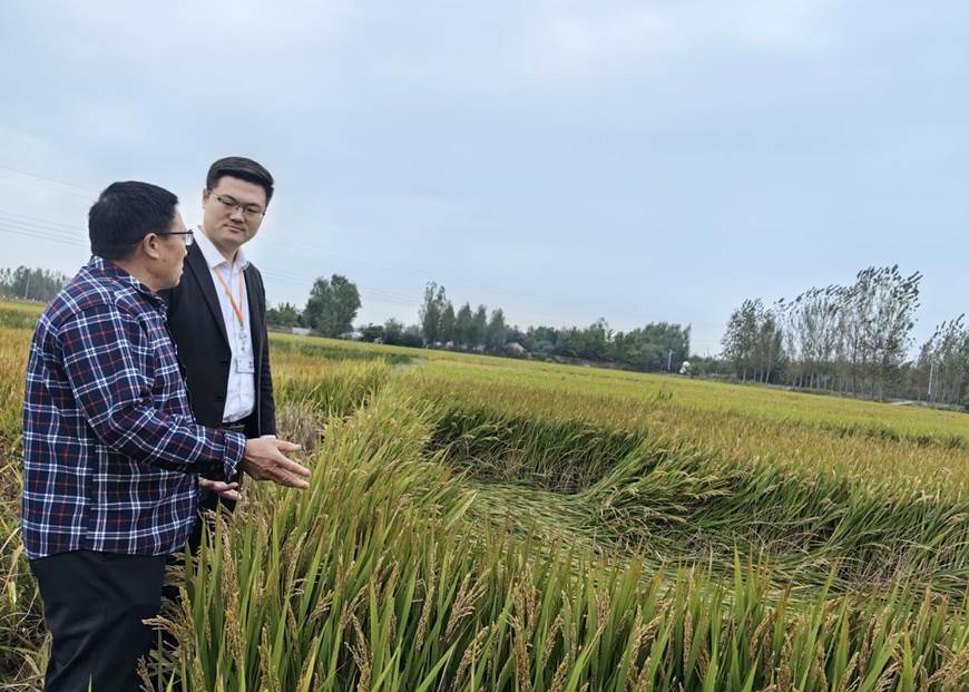 2f2493d67889d33e1ef06240201ae26315f289e4