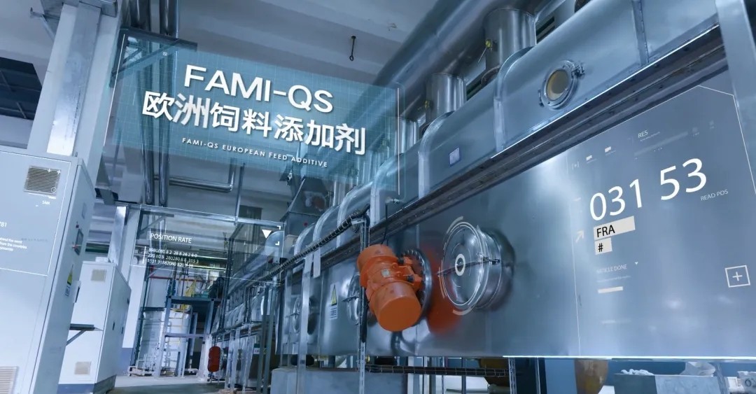 1770088982473980.jpg 640.jpg