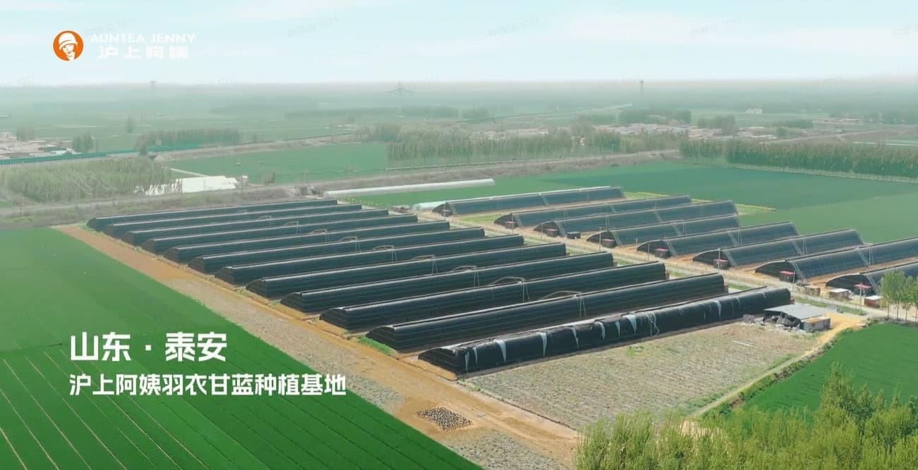 tvc宣传图1.jpg