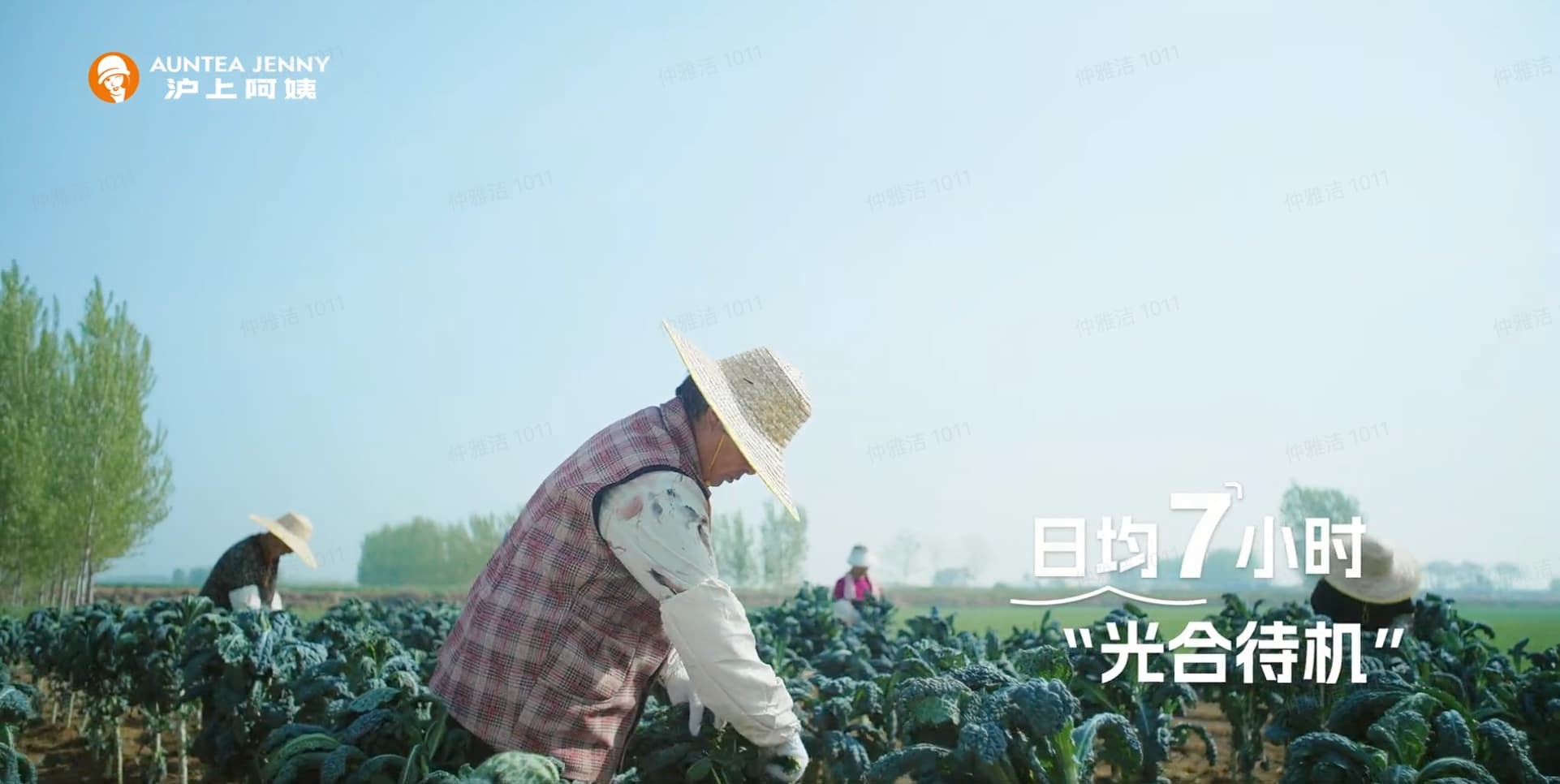 tvc宣传图2.jpg