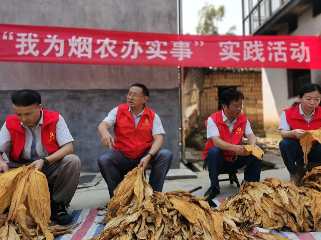 14h井冈山卷烟厂党员志愿者帮助烟农将鲜烟叶进行等级初分.jpg