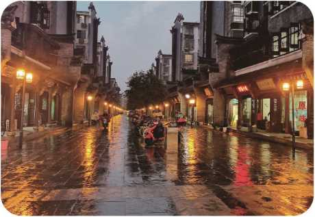 20n“中国芯”LED景观灯成为华城门村（习家村）步行街的亮丽风景.png