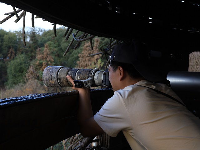 15r观鸟爱好者正在吴城镇观鸟平台观鸟。（汪顺英摄）.jpg