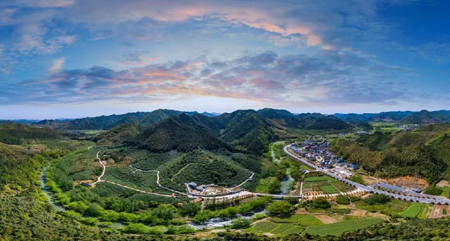 20Y浙江龙顶茶园林业科技小院2.jpg