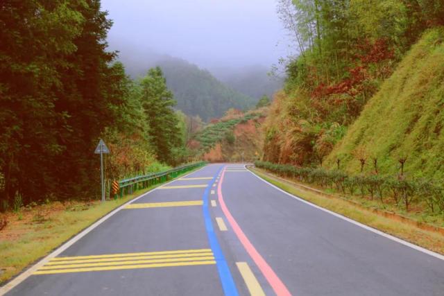 每一条公路都体现最美形象-省内-经济晚报网