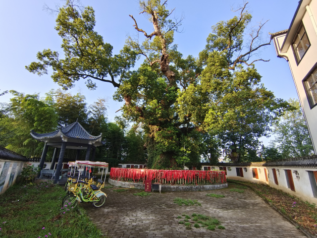 德兴市海口镇教育赋能为乡村振兴注入源头活水