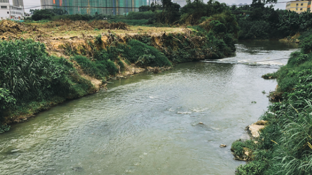 惠州淡水河水质 跃升至Ⅲ类水标准-社会-经济晚报网