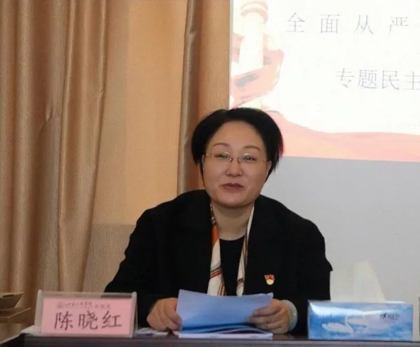 新余市人民政府驻学校帮扶领导小组办公室副主任陈晓红对这次民主生活