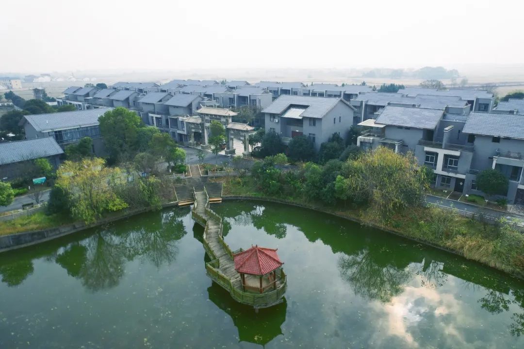 新余水北镇落实六渝举措民生福祉不断增进