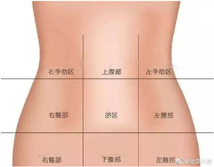 ⑧下腹部:子宫,膀胱和直肠等.⑦右下腹部:盲肠,阑尾,回肠下端等.